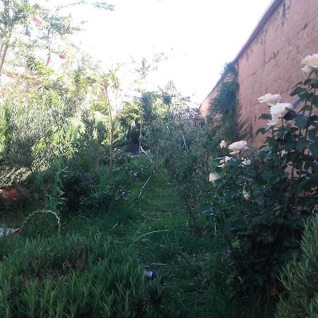 Auberge Toda Ait Igad ภายนอก รูปภาพ