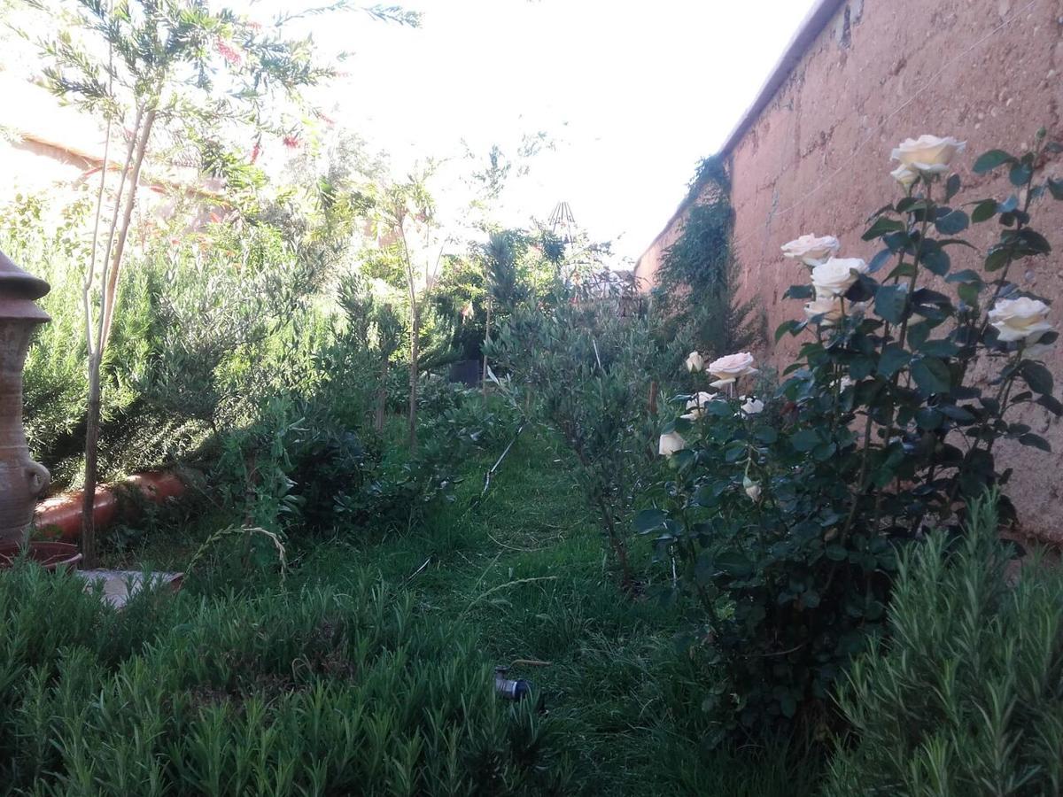 Auberge Toda Ait Igad ภายนอก รูปภาพ